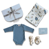 Pure Bliss Classic Baby Boy Hamper